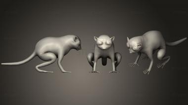 3D model Tarsier (STL)